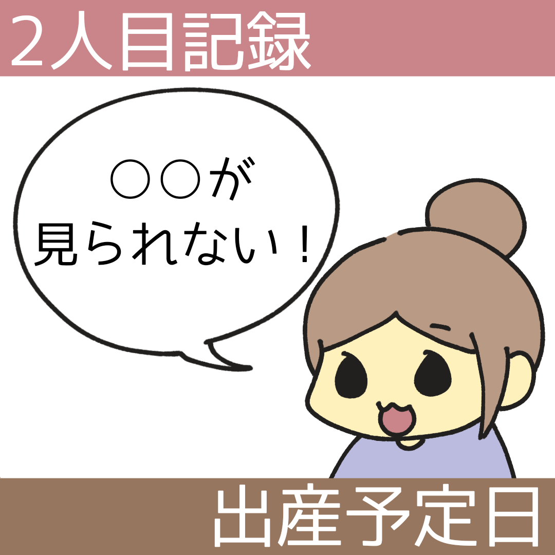 2歳差の2人目妊娠記録【予定日の事】